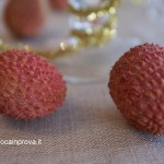Litchi sorbetto 1 - Diana Grandin Foodblog