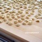 orecchiette 1 - Diana Grandin Foodblog